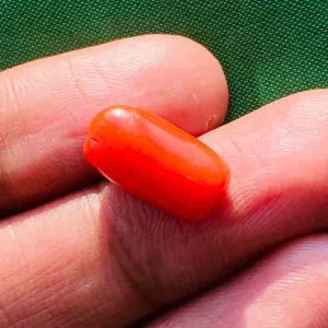 Marjan - Red Coral